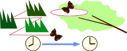 Shift of mate locating behaviour