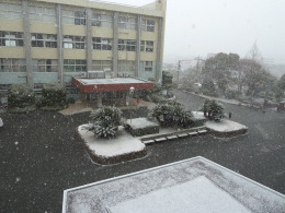 雪
