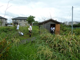 高校生