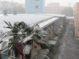 雪