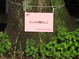 花壇