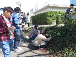 植物観察