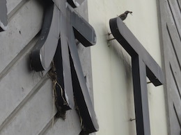 鳥の巣