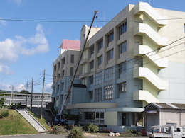 伐採