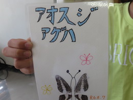 鱗粉転写