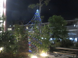 電飾