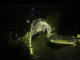 電飾